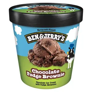 Chocolate Fudge Brownie